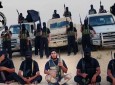 گروه تروریستی مصری به داعش پیوست