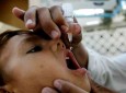 بیش از ۴۰۰ هزار کودک در بلخ واکسین پولیو دریافت کردند