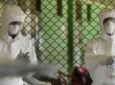 بیماری ابولا تا کنون جان ۵۱۶۰ نفر را گرفته است