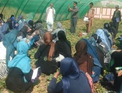 ایجاد باغچه‌های خانگی برای سه هزار بانوی کشاورز در فاریاب