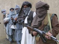 حکومت در قبال طالبان داخلی تصمیم جدی اتخاذ کند