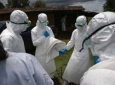تلفات بیماری ابولا افزایش یافته است
