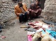 فروش گوشت سگ در هرات