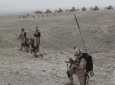 ۱۳ تنه ترهګر طالبان د امنیتی ځواکونو دبېلا بېلوګډو چاڼېزو عملیاتو په لړکې ووژل شول