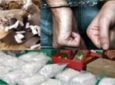 دستگیری یکی از قاچاقبران بزرگ مواد مخدر در کشور