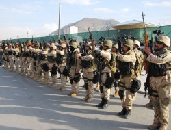 ۲۴ شبه نظامی طالب در چندین عملیات تصفیه ای کشته شدند