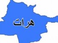 کشته و زخمی شدن ۲تن از اعضای یک خانواده در یک حمله مسلحانه در هرات