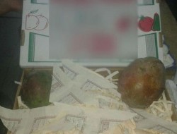 بسته بندی میوه ها با استفاده از برگه های قرآن کریم در عربستان