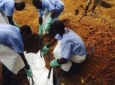 درختی در گینه عامل گسترش بیماری ابولا!