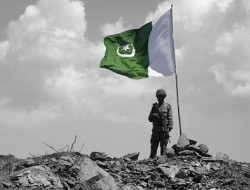 محور ورځپاڼه: پاکستان واړه طالب جنګیالي را شړلي دي