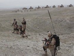 ۱۴ تنه ترهګر طالبان د امنیتی ځواکونو دبېلا بېلوګډو چاڼېزو عملیاتو په لړکې ووژل شول