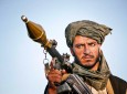 طالبان، استحاله تدریجی یا سیاسی؟