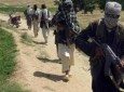 ولسوال نام نهاد طالبان در غور به پروسه صلح پیوست