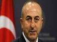 نگرانی آنکارا ازبازگشت تروریستها به ترکیه/ ۷۰۰ ترک به داعش پیوسته اند