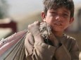 نگرانی از افزایش کودکان خیابانی و کارگر  در افغانستان