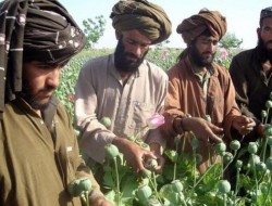 همکاری های افغانستان و پاکستان برای مبارزه علیه مواد مخدر