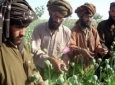 همکاری های افغانستان و پاکستان برای مبارزه علیه مواد مخدر
