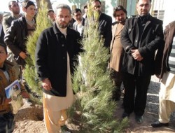 غرس بیش‌از پنج‌هزار اصله نهال تزئینی در هرات