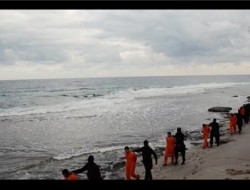 تحقیقات سازمان ملل درباره فروش اعضای بدن قربانیان داعش در بازار اروپا
