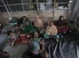 انتقاد سازمان ملل از نقض حقوق مسلمانان در میانمار