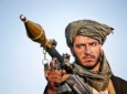 طالبان برای سال آینده چه برنامه ای دارند؟