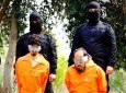 اعدام 4 عراقی به دست عناصر داعش