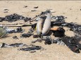 سقوط پهپاد نظامی سعودی در یمن/بمباران میادین نفتی در ولایت مأرب