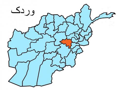 مسئول استخباراتی طالبان در ولایت میدان وردک کشته شد