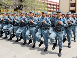 ۲۵ طالب در عملیات های نیروهای امنیتی کشته و زخمی شدند