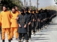 جای قاتل و مقتول عوض شده است/نارنجی‌پوشان، داعشی‌ها را اعدام می‌کنند!