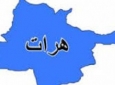 دستگیری یک گروه ۳ نفره از سازندگان ماین در ولایت هرات