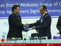کرکت بورد افغانستان با شرکت الکوزی قرارداد مالی امضا کرد