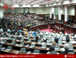 مجلس، طرح تعدیل قانون سرپرستی را تصویب کرد