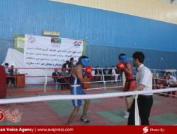 برگزاری مسابقات گزینشی تیم ملی مشت زنی در کابل