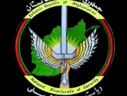 ولسوال نام نهاد طالبان در " دربابا" دستگیر شد