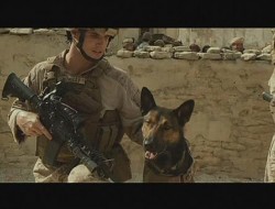 فلم «مکس» سگ آموزش دیده اردوی امریکا در جنگ افغانستان