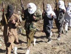 طالبان پاکستان، نقطه وصل طالبان و داعش؟