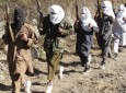 طالبان پاکستان، نقطه وصل طالبان و داعش؟