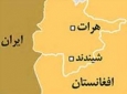 دستگیری سه سارق حرفه ای در هرات