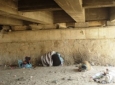 زیر پل سوخته غزنی به روایت تصویر  