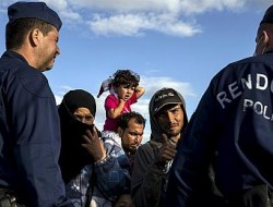 پولیس مجارستان، مهاجران را به اردوگاه روشکه برگرداند
