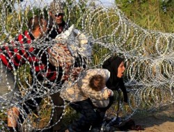 قانون جدید مجارستان برای جلوگیری از پناهجویان