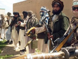طالبان و داعش دست در دست یکدیگر علیه مردم غزنی