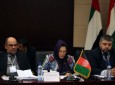 وزیر مبارزه با مواد مخدر افغانستان خواستار بسیج جهانی در برابر تولید و قاچاق مواد مخدر شد