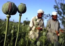 معضل مواد مخدر افغانستان در نشست پنج‌جانبه تهران