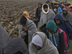 ۱۴۰ هزار افغان در کشورهای اروپایی پناهنده شده اند