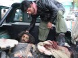 فرمانده عملیاتی طالبان در شهر غزنی کشته شد