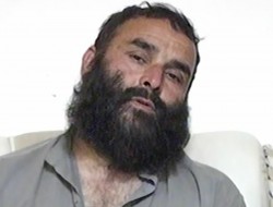 والی نام نهاد طالبان در لغمان دستگیر شد