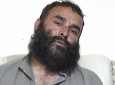 والی نام نهاد طالبان در لغمان دستگیر شد