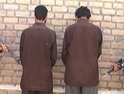 دستگیری یک  قوماندان گروه طالبان در ولایت هرات